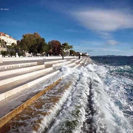 Reza Luxury Apartment Zadar Dış mekan fotoğraf